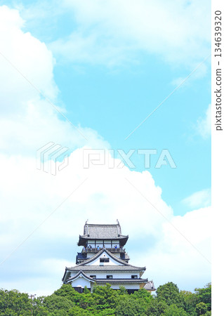 愛知縣犬山市的國寶犬山城風景 134639320