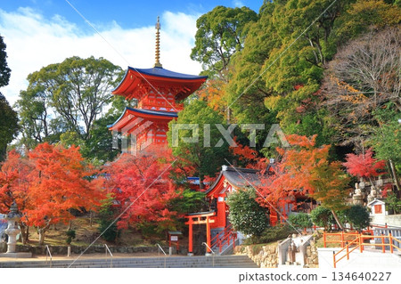 [Hyogo Prefecture] Three-story pagoda and autumn leaves at Suma-dera Temple on a clear day 134640227