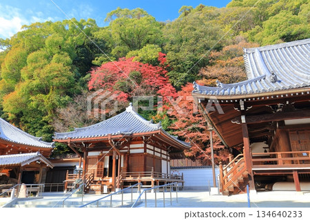 【兵庫縣】晴天時須磨寺的大士堂與秋葉 【兵庫縣】晴天時須磨寺的大士堂與秋葉 134640233