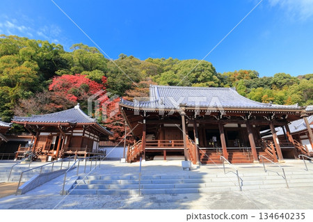 [Hyogo Prefecture] Suma-dera Temple's main hall and Daishi-do hall on a clear day, with autumn leaves 134640235