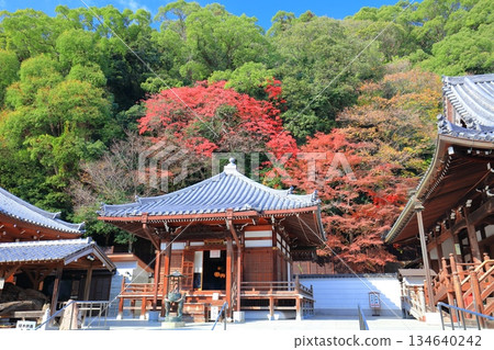 [Hyogo Prefecture] Daishido Hall and autumn leaves at Suma-dera Temple on a clear day 134640242
