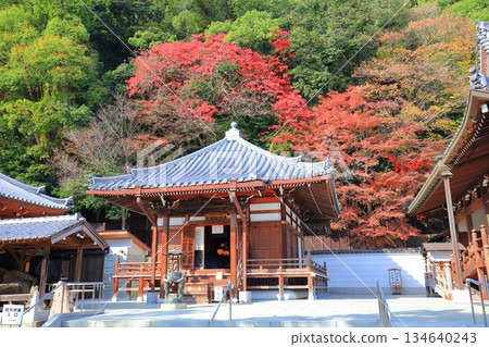 【兵庫縣】晴天時須磨寺的大士堂與秋葉 【兵庫縣】晴天時須磨寺的大士堂與秋葉 134640243