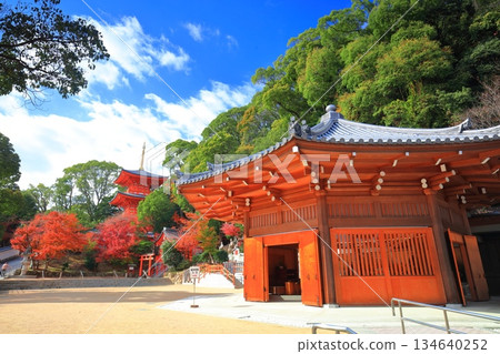 【兵庫縣】晴天時,須磨寺的三重塔與秋葉 【兵庫縣】晴天時,須磨寺的三重塔與秋葉 134640252