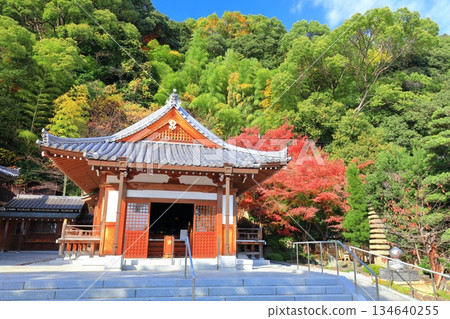 【兵庫縣】晴天時須磨寺的大士堂與秋葉 【兵庫縣】晴天時須磨寺的大士堂與秋葉 134640255