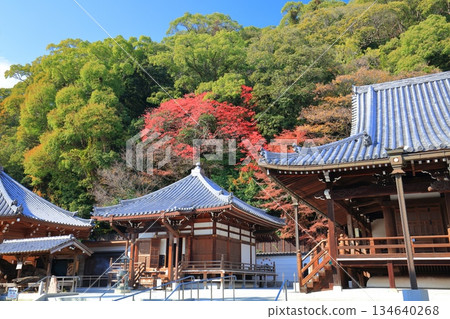 【兵庫縣】晴天時須磨寺的大士堂與秋葉 【兵庫縣】晴天時須磨寺的大士堂與秋葉 134640268