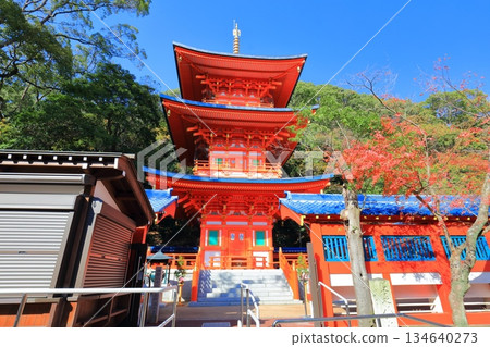 【兵庫縣】晴天時,須磨寺的三重塔與秋葉 【兵庫縣】晴天時,須磨寺的三重塔與秋葉 134640273