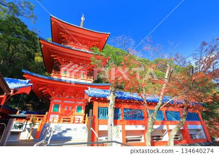 [Hyogo Prefecture] Three-story pagoda and autumn leaves at Suma-dera Temple on a clear day 134640274