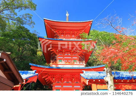 [Hyogo Prefecture] Three-story pagoda and autumn leaves at Suma-dera Temple on a clear day 134640276