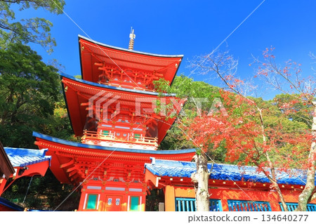 [Hyogo Prefecture] Three-story pagoda and autumn leaves at Suma-dera Temple on a clear day 134640277