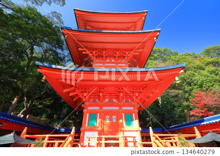 【兵庫縣】晴天時,須磨寺的三重塔與秋葉 【兵庫縣】晴天時,須磨寺的三重塔與秋葉 134640279