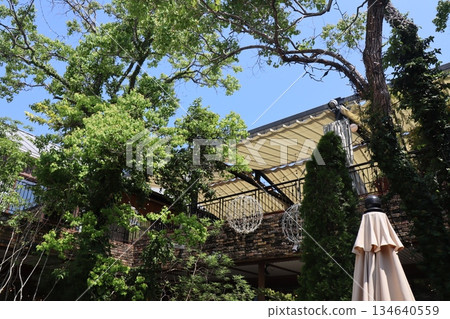 A terrace surrounded by greenery on a mild, sunny afternoon A terrace surrounded by greenery on a mild, sunny afternoon 134640559