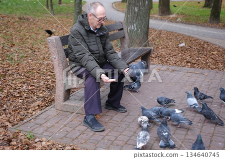 An elderly man enjoys a cold winter morning in the city. A gray-haired man feeds pigeons while sitting on a bench in the square. An elderly man enjoys a cold winter morning in the city. A gray-haired man feeds pigeons while sitting on a bench in the square. 134640745