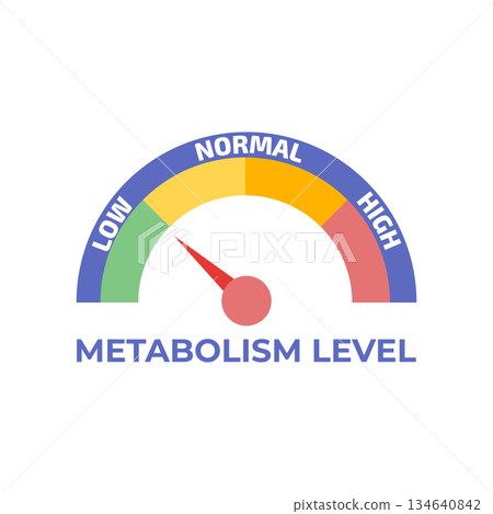 Metabolism level meter with arrow. Infographic gauge element. Vector illustration. Metabolism level meter with arrow. Infographic gauge element. Vector illustration. 134640842