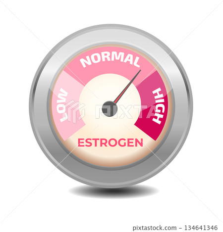 Estrogen level meter. Vector illustration. Estrogen level meter. Vector illustration. 134641346