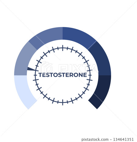 Testosteron level meter. Vector illustration. Testosteron level meter. Vector illustration. 134641351