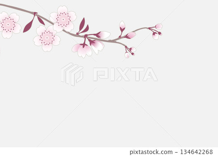 Elegant Japanese-style background with spring cherry blossom branches stretching horizontally | Cherry blossoms, flowers, branches, spring, plants Elegant Japanese-style background with spring cherry blossom branches stretching horizontally | Cherry blossoms, flowers, branches, spring, plants 134642268