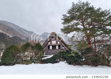 The view of landscape shirakawago river in winter 134642290