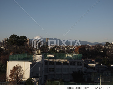 Snow-capped Mount Fuji seen from a residential area in Tokyo, a beautiful mountain range shining against the clear winter sky 134642442