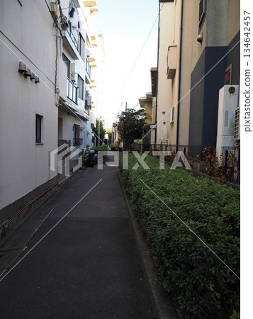 位於大田區山王住宅區的一條僻靜小巷，兩旁綠籬環繞。 134642457