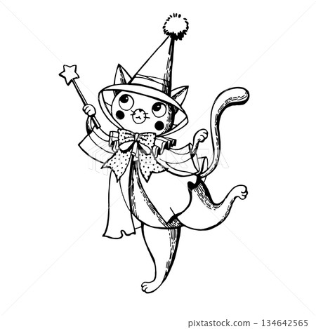 Halloween Wizard Cat in Robe and Hat Halloween Wizard Cat in Robe and Hat 134642565