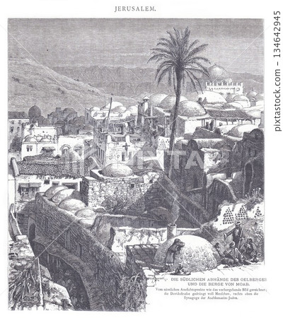 Jerusalem Old City Panorama With Domed Roofs, Palm Tree, and Stone Alleys in Historic Market Scene 134642945