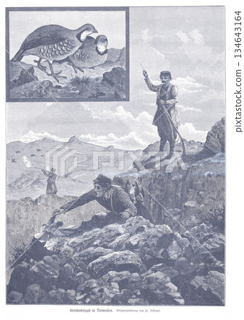 Hunters in Dalmatia Shoot Game Birds Beside Rugged Mountain Landscape With Pheasants Hunters in Dalmatia Shoot Game Birds Beside Rugged Mountain Landscape With Pheasants 134643164