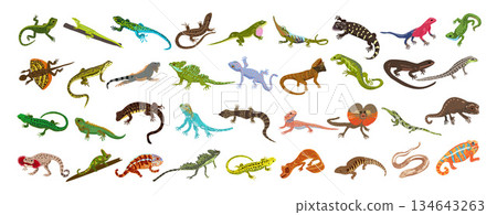 Lizard icons set cartoon vector. Chameleon gecko Lizard icons set cartoon vector. Chameleon gecko 134643263