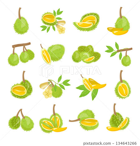Durian icons set cartoon vector. Musang fruit Durian icons set cartoon vector. Musang fruit 134643266