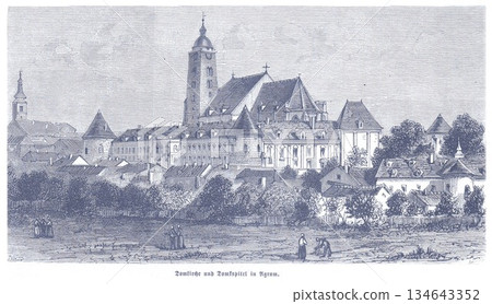 monastery, convent, townscape 134643352