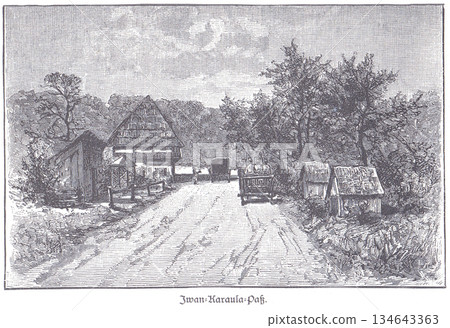 road, cart, horse 134643363