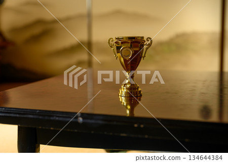 桌上的金色獎杯 134644384