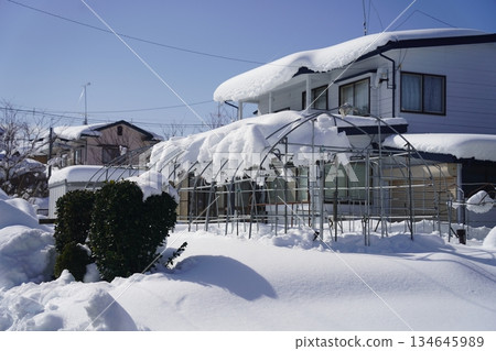 花園被雪覆蓋 134645989