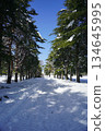 積雪覆蓋的冬季道路 134645995