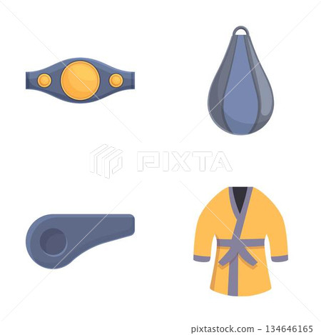 Martial arts equipment icons set Martial arts equipment icons set 134646165