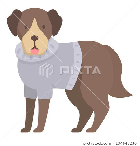Brown dog standing and wearing a grey woolen sweater Brown dog standing and wearing a grey woolen sweater 134646236