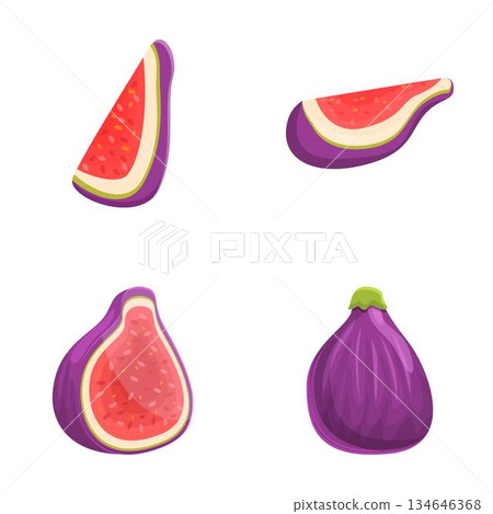 Ripe fig icons set cartoon vector. Purple summer tropical fruit Ripe fig icons set cartoon vector. Purple summer tropical fruit 134646368