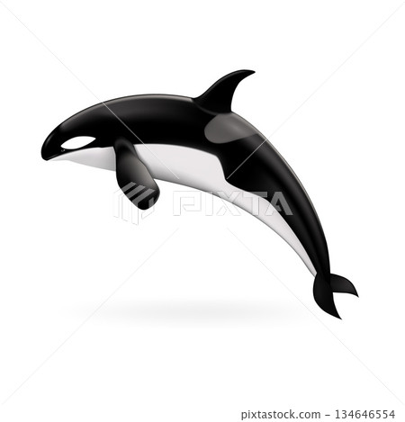 Orca whale icon, realistic style Orca whale icon, realistic style 134646554