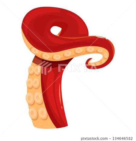 Red octopus tentacle curling upwards, showing suction cups Red octopus tentacle curling upwards, showing suction cups 134646582