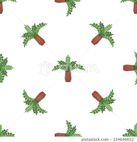 Seamless pattern with potted fern plants on white background 134646652