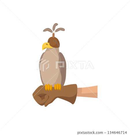 Falcon hunting cartoon icon Falcon hunting cartoon icon 134646714