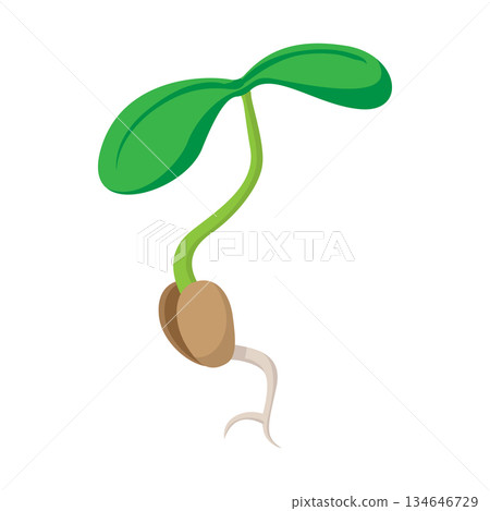 Sprout icon, cartoon style 134646729