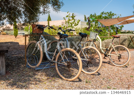 Four bicycles rest on a bike rack in a sunny outdoor area, surrounded by trees and a small garden. The scene is peaceful and inviting Four bicycles rest on a bike rack in a sunny outdoor area, surrounded by trees and a small garden. The scene is peaceful and inviting 134646915