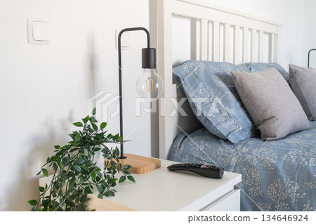 This cozy bedroom showcases a modern design with soft blue bedding, stylish pillows, a bedside lamp, and a green plant adding a touch of nature 134646924