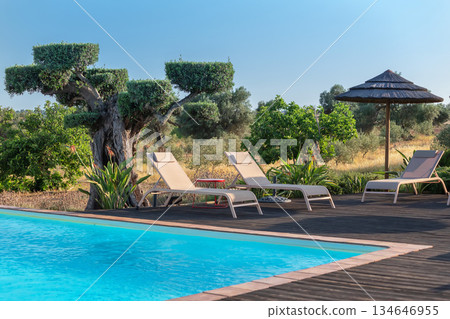 Sun loungers sit by a clear blue pool surrounded by lush greenery and olive trees on a bright sunny day, inviting relaxation and leisure outdoors Sun loungers sit by a clear blue pool surrounded by lush greenery and olive trees on a bright sunny day, inviting relaxation and leisure outdoors 134646955