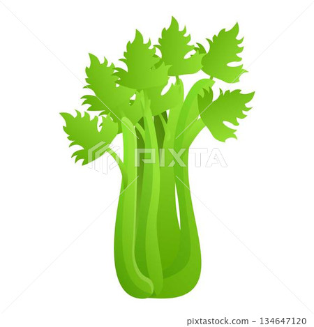 Fresh celery icon, cartoon style 134647120