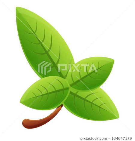 Basil aromatic icon, cartoon style Basil aromatic icon, cartoon style 134647179