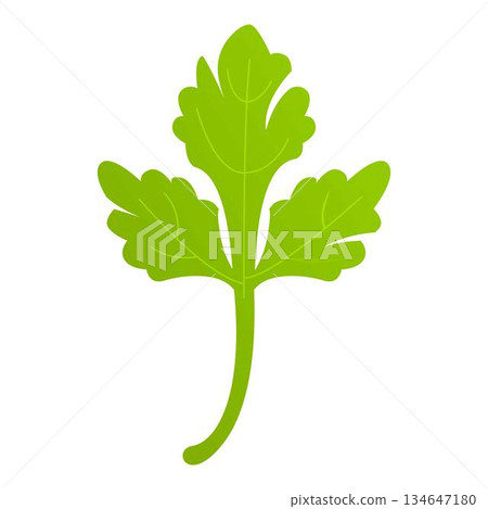 Fresh parsley leaf icon cartoon vector. Herb plant 134647180