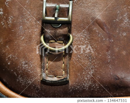 Close-up of mold growth on an old brown leather bag, showing white fungal patches and texture details. Useful for illustrating moisture damage, decay, and leather maintenance issues. 134647331