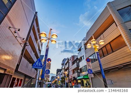 YCV Telemin Shopping Street 134648168
