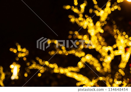 Tree branches wrapped in golden fairy lights at night. Festive holiday illumination in a city park Tree branches wrapped in golden fairy lights at night. Festive holiday illumination in a city park 134648454